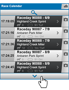 Virtual Horse Racing select an event.png Virtual Horse Racing select an event.png